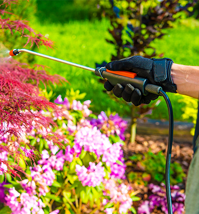 An image of a person spraying chemicals in a garden for pest control