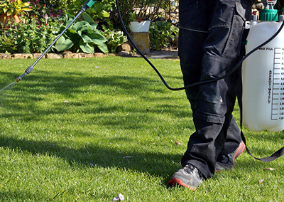 Landscaper spraying weed control chemicals on grass