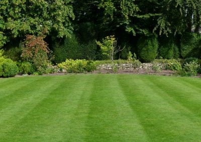 An image of a freshly mowed backyard