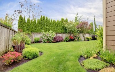 5 Easy Steps For Achieving A Healthy And Beautiful Yard
