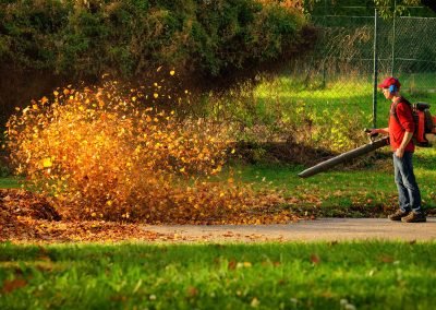 An image of a man cleaning up leaves with a leaf blower