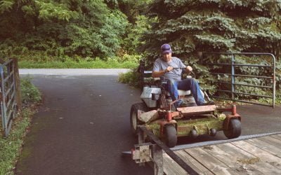 What You Want To Look For When Choosing A Landscaping Company