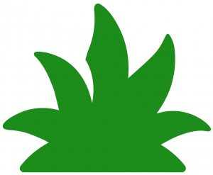 An image icon of bed weed control