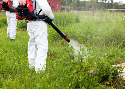 People in protective gear spraying weed killer on a field