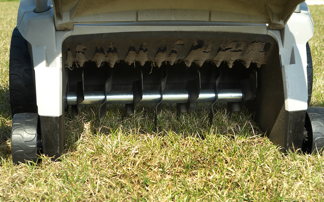 Lawn Aeration