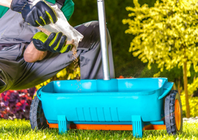 A man fertilizing grass