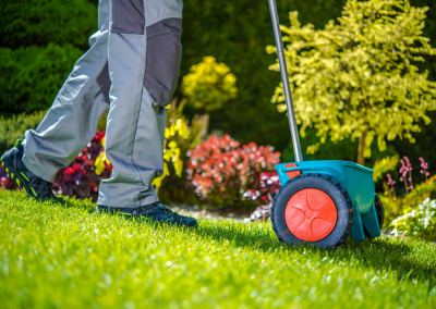 A man spreading grass seeds on lawn