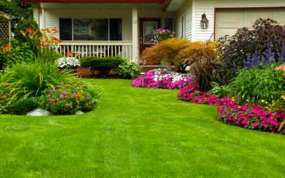 The Best Summer Lawn Irrigation Tactics