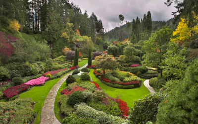 9 Easy Landscaping Tips For Beginners