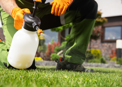 A man spraying grass lawn weed killer