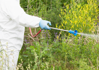 A person in protective gear spraying weed killer