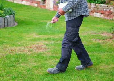 A man spreading grass seed on lawn