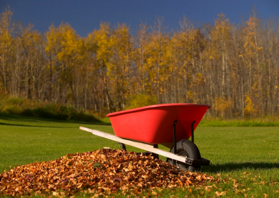 A wheel barrel next to a pile of leaves
